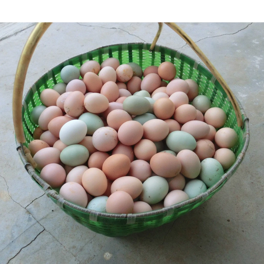 正宗农村散养土鸡蛋