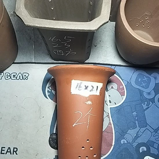 小红兰花两个微瑕