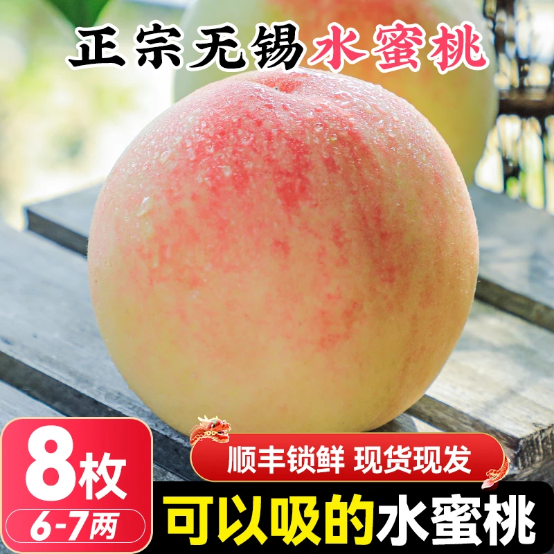 【顺丰送上门】6-7两 8枚 正宗无锡水蜜桃新鲜水果当季礼盒整箱包邮江苏省