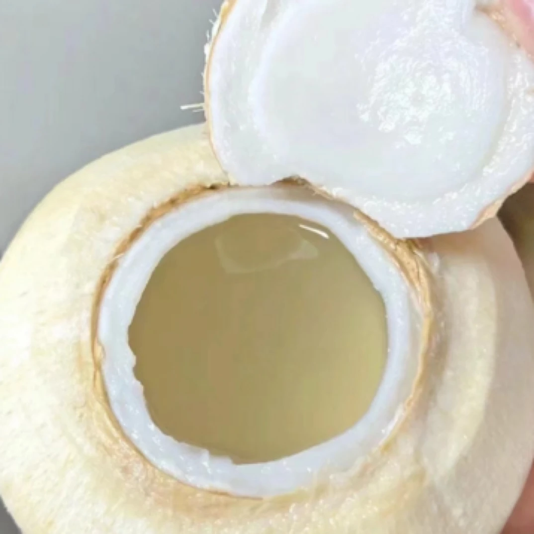 【都乐越南椰青】1个