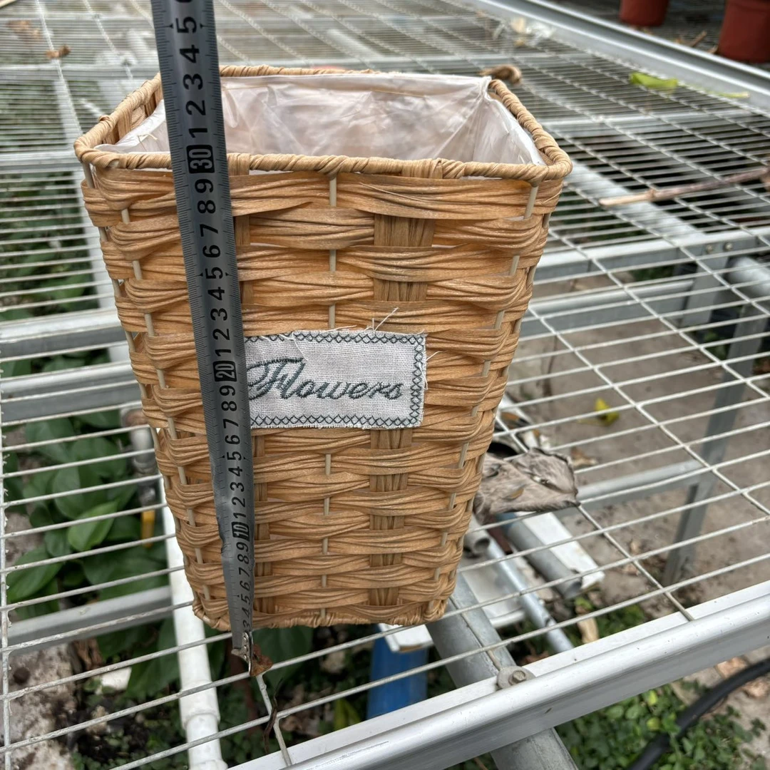 新疆包邮 草编框 田园风超美口径21cm，高度30cm