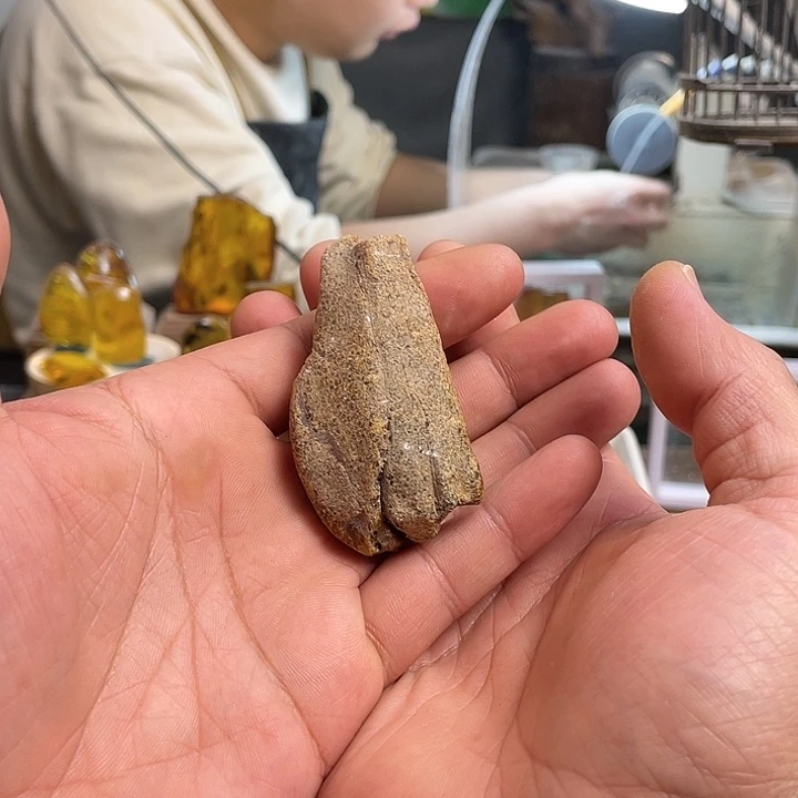 崽***肉定制琥珀未镶嵌天然琥珀蜜蜡