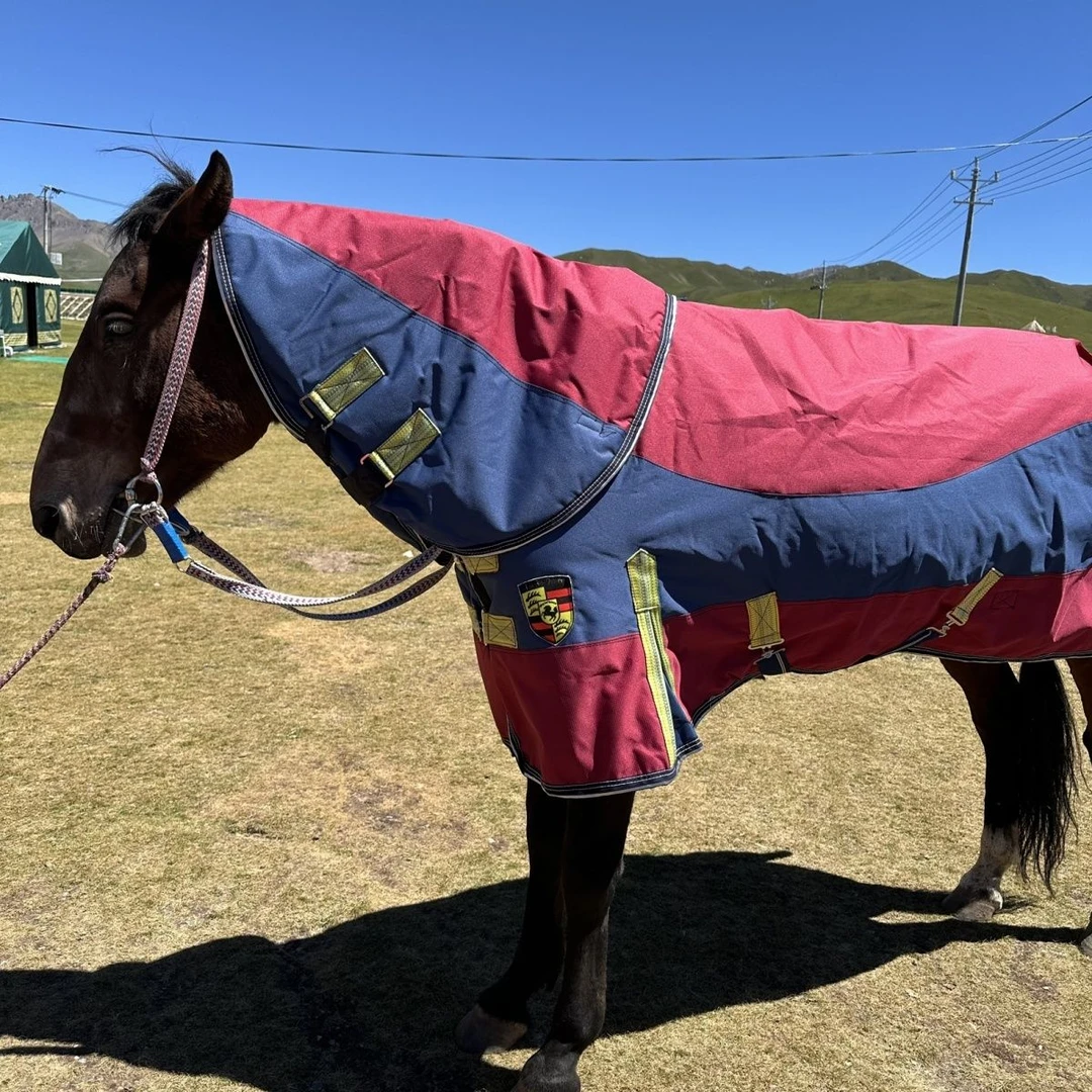 新疆西藏包邮昂贝乐马衣冬季加厚保暖防水牛津布通用各型马防寒装