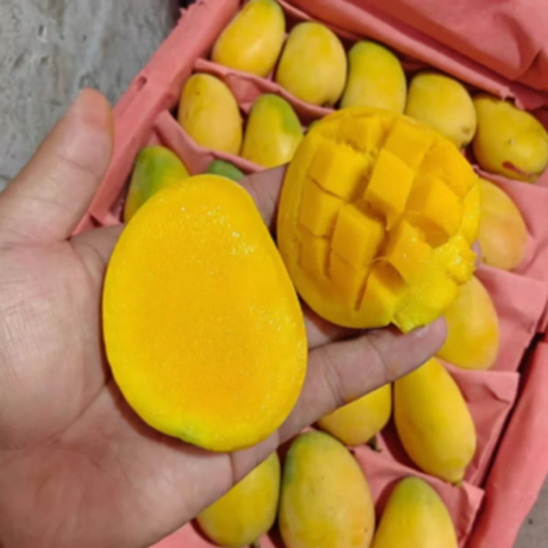 海南小台芒芒果3斤新鲜芒果