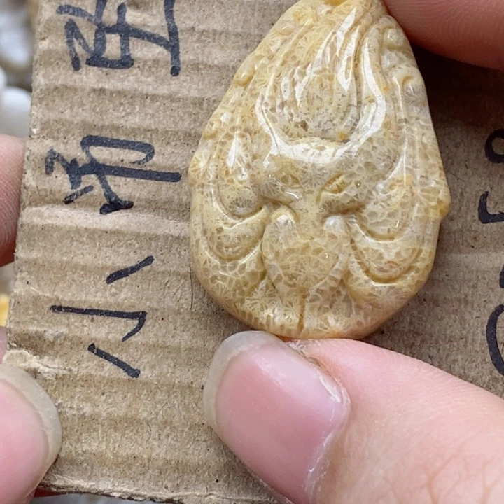 颈饰未镶嵌硅化珊瑚（珊瑚玉）V****n
