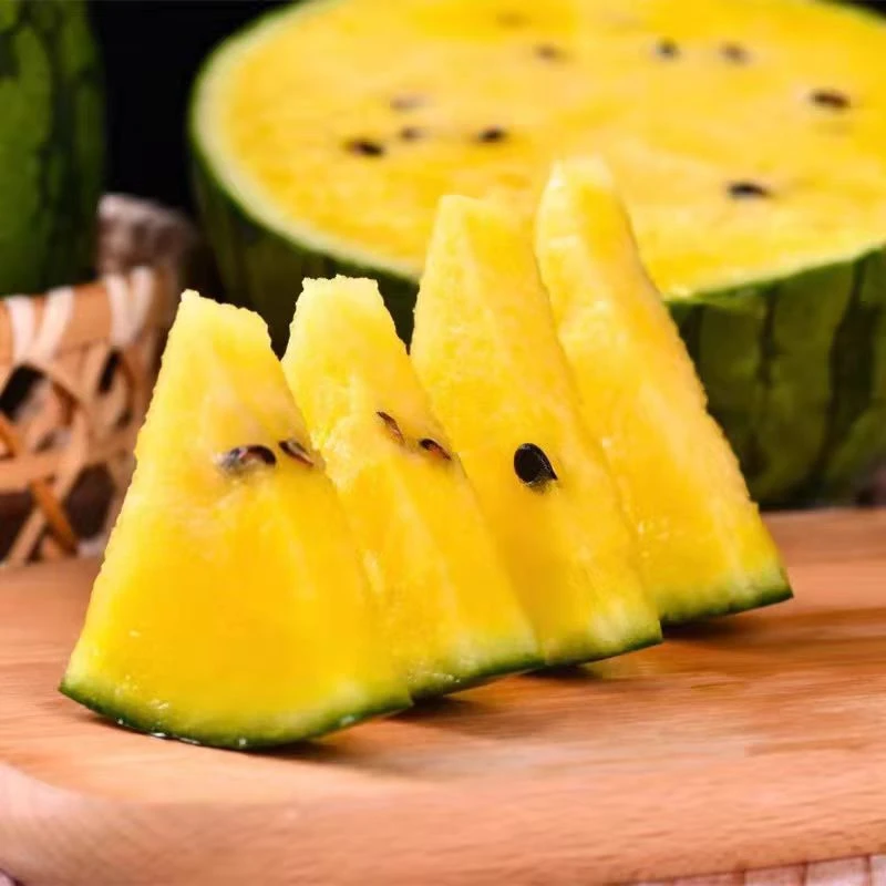 【蓝小甜】山东小糖丸西瓜（黄瓤）3-6斤
