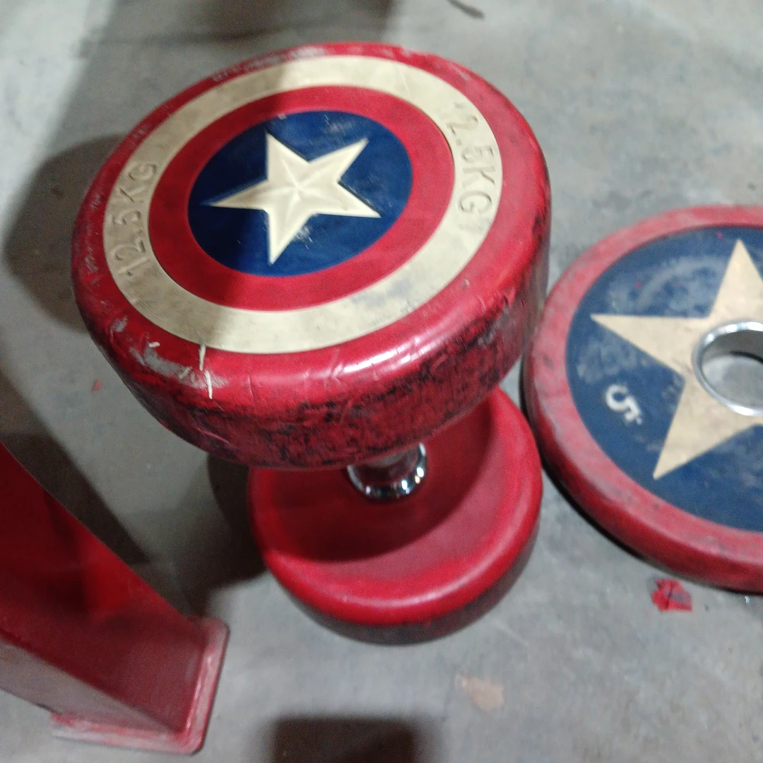 12.5哑铃一对共25公斤