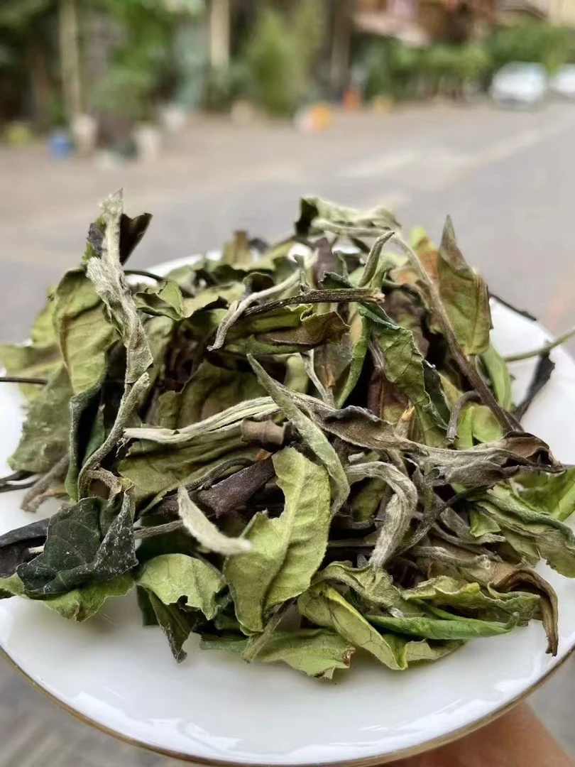 春哥的茶 雷达山 2025年野生茶 普洱茶古树白茶散茶100克