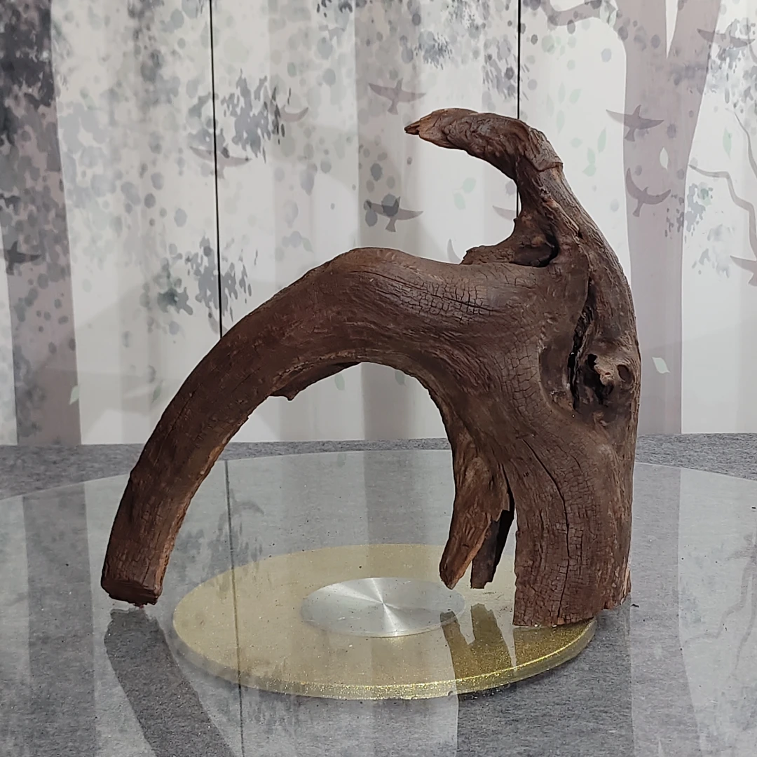 50*20*44碳化爆裂树桩拱桥一木成景云南紫柚木沉木造景溪流南美缸