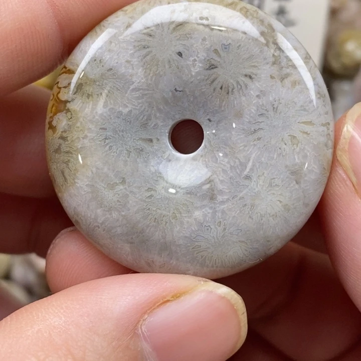 硅化珊瑚（珊瑚玉）未镶嵌颈饰