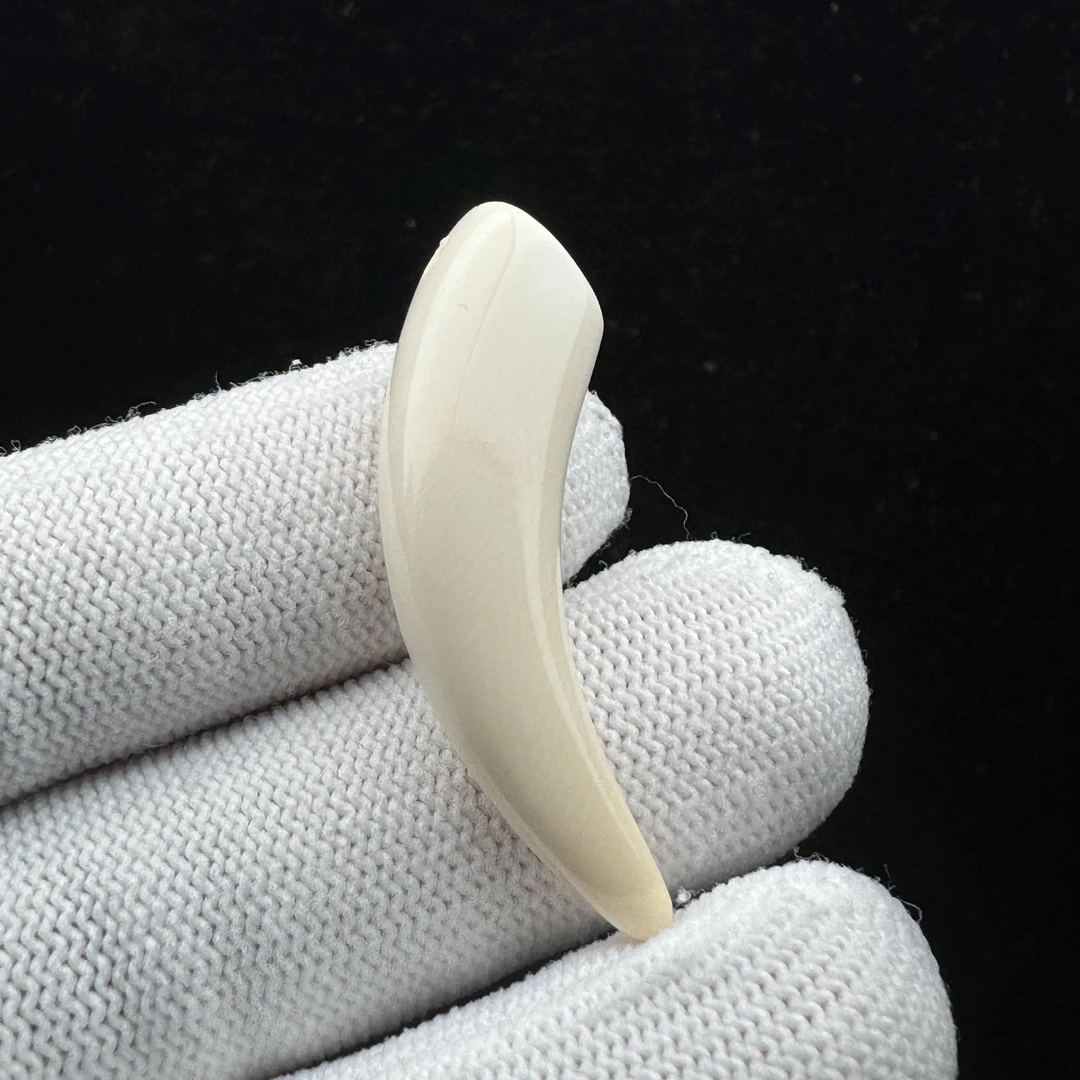 L2708天然猛犸牙 牙尖40mm支持鉴定 假一罚四