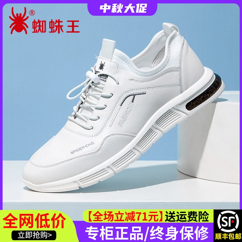 蜘蛛王男鞋2025新款休闲皮鞋男真皮软底百搭潮流牛皮小白鞋02965