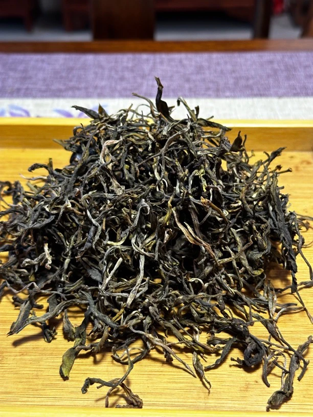 25年倚邦大黑树林一类古树挑采头春