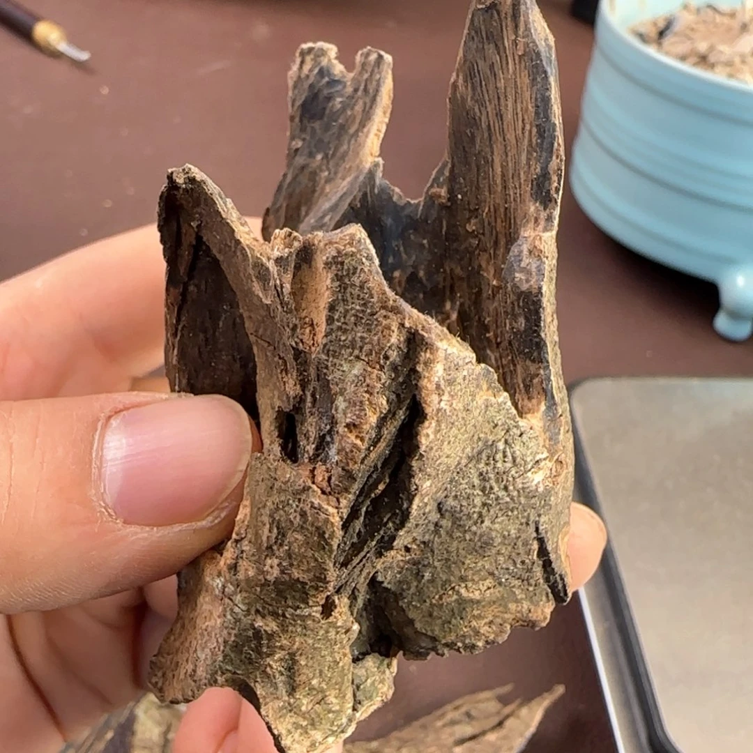 沉香摆件奇楠厚油虎斑料20克