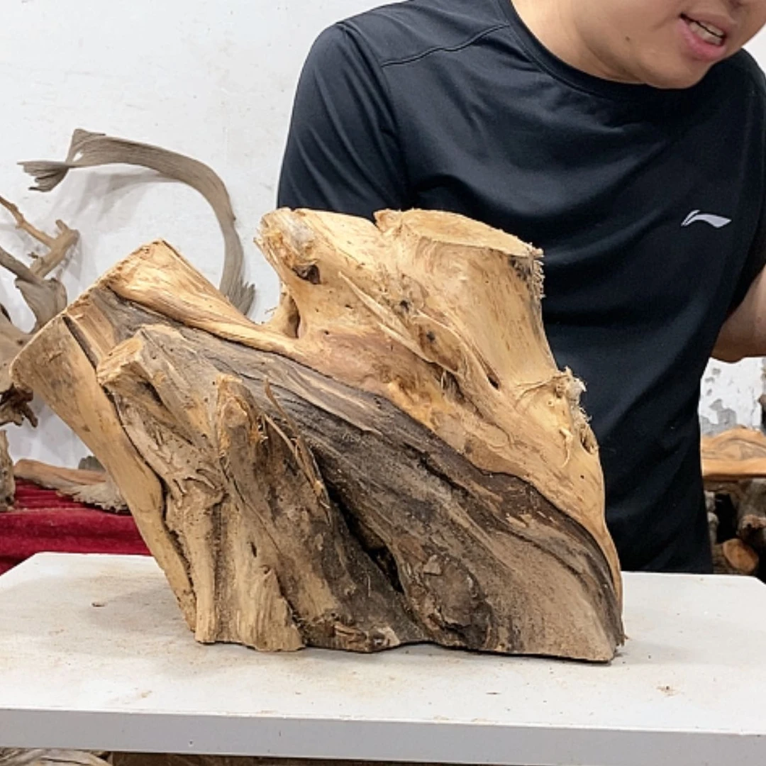 【闪购商品】柏木山*工我们都在努力着改变自己和别人不