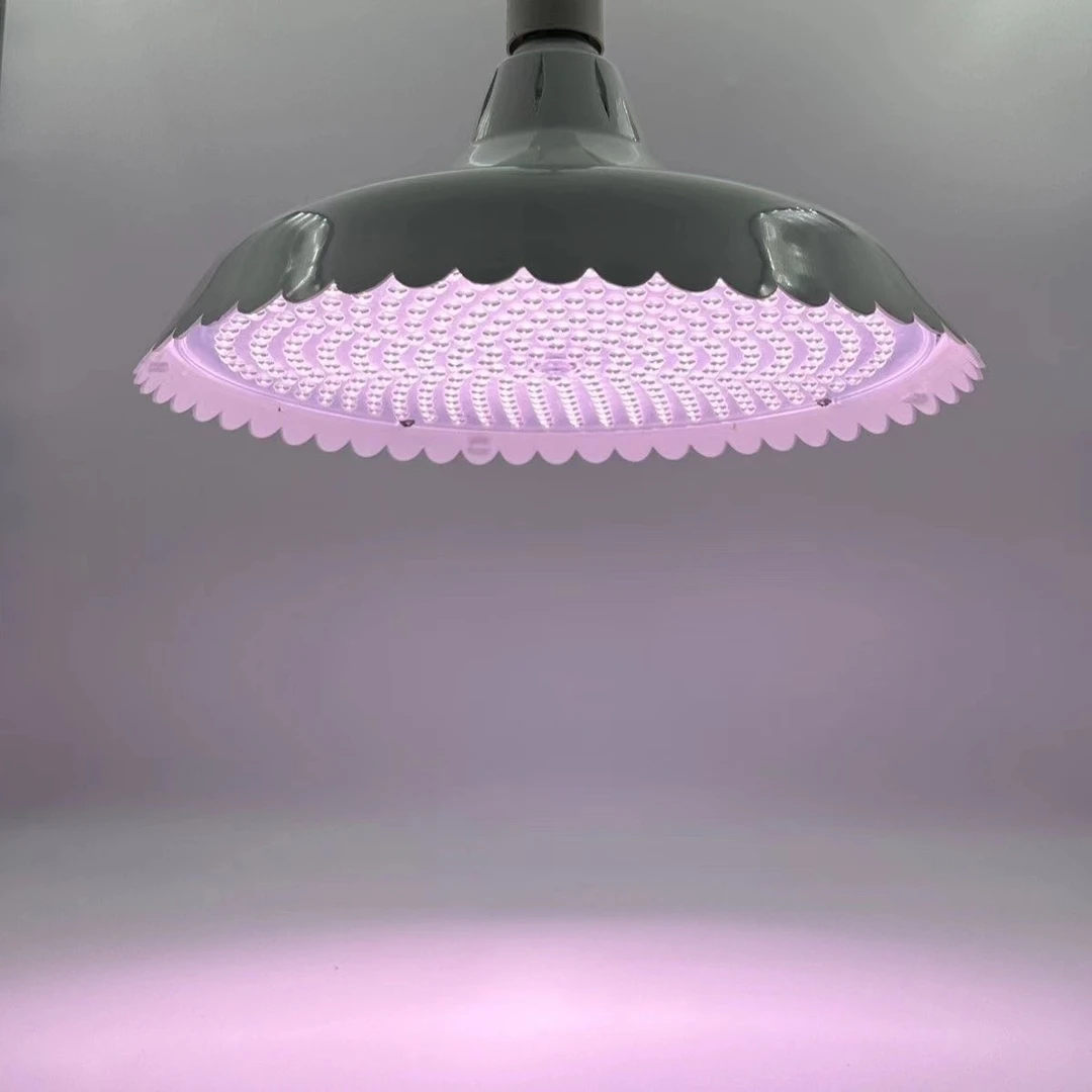 2024新款国标白光隐红