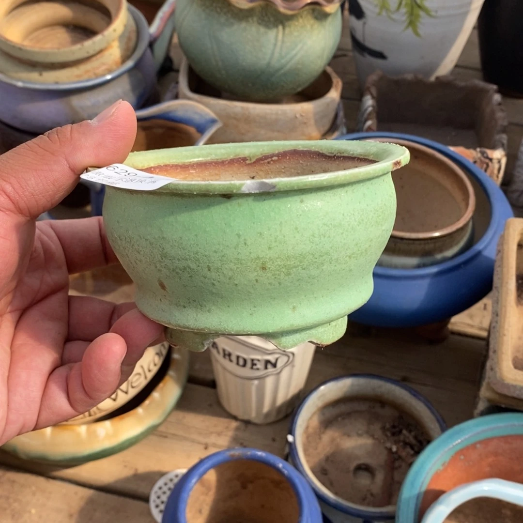 4号花盆内10高7瑕疵