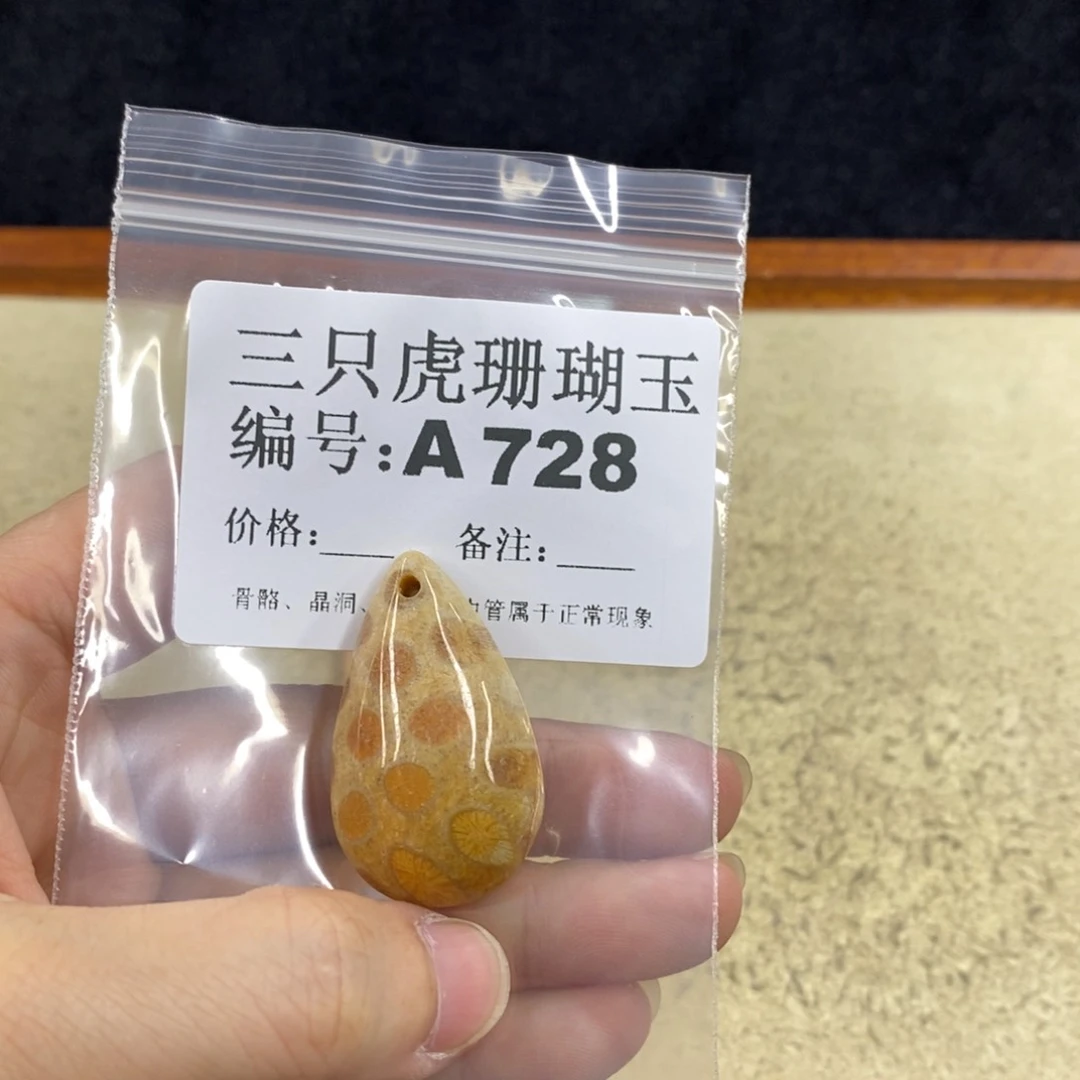 硅化珊瑚（珊瑚玉）1未镶嵌原*