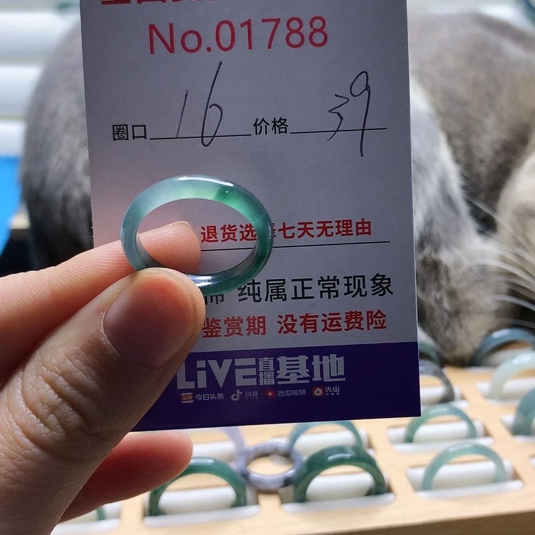 翡翠戒指未镶嵌天然翡翠戒指
