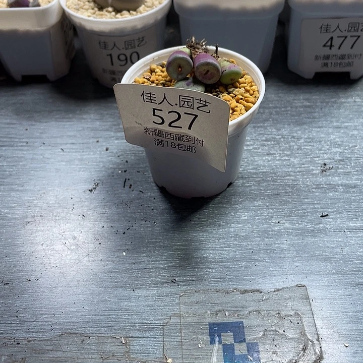 ****芙家婆选择是正确对待527