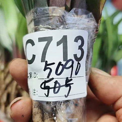 不***荡完全开放0713071300