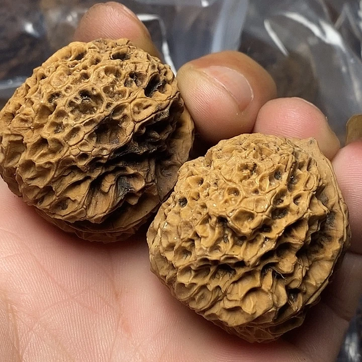 文玩核桃把件云南铁核桃8