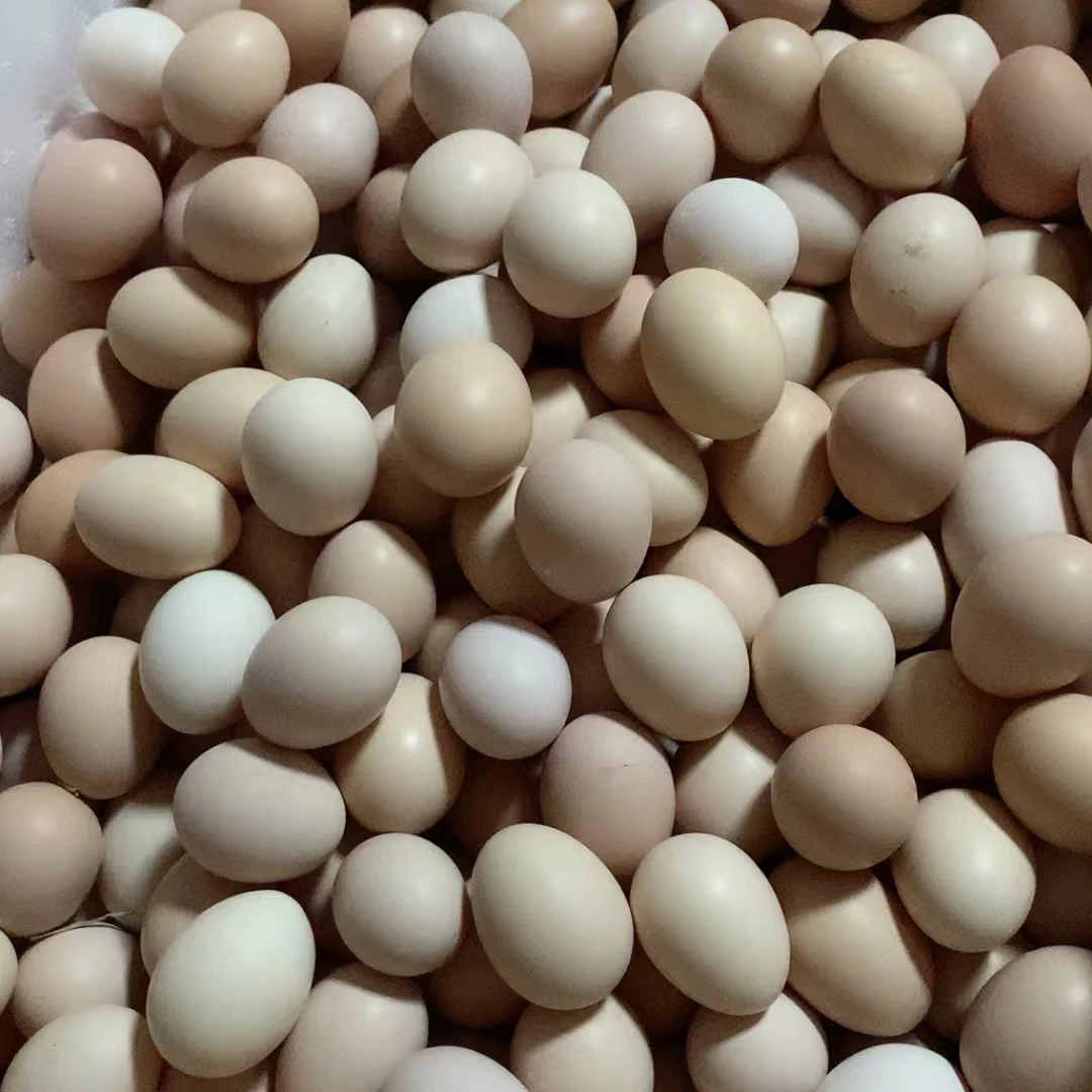 （土货）云南农村自家散养土鸡蛋 原生态鸡蛋