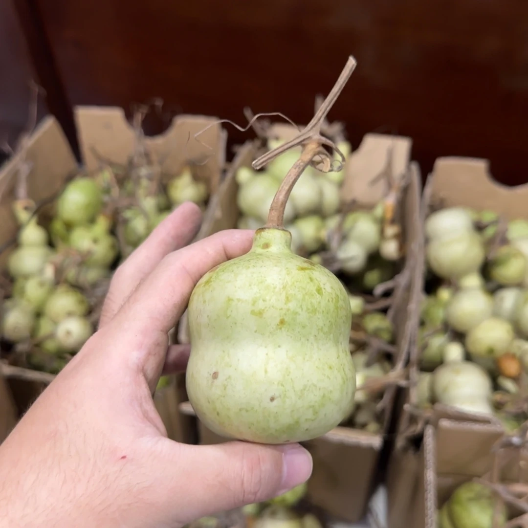 平***你青皮不包成 不退不换