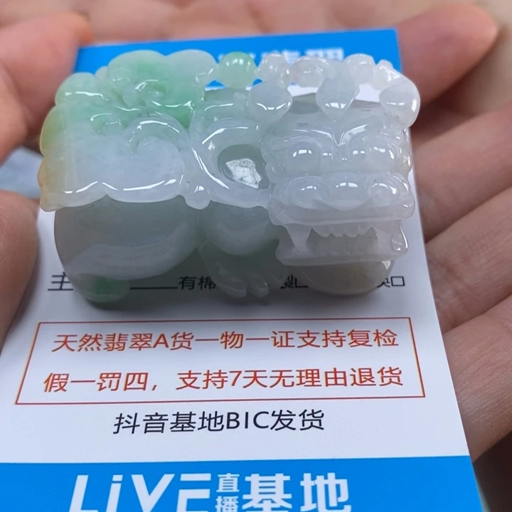相***我翡翠未镶嵌颈饰多人貔貅