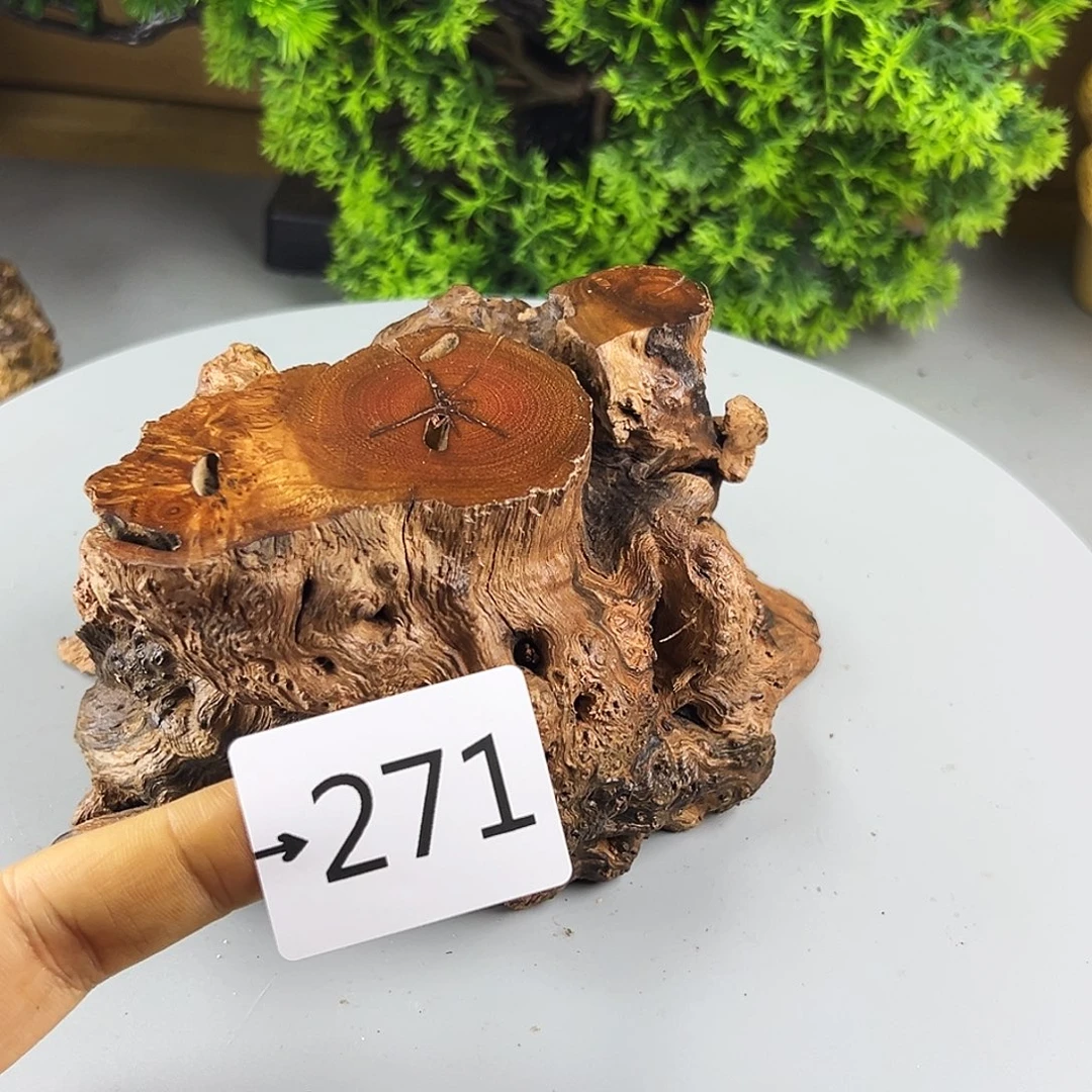 香榧木阿*火琉璃……