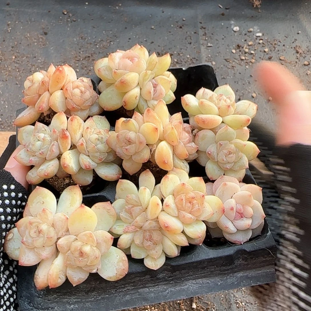 哈哈哈哈哈哈哈哈哈