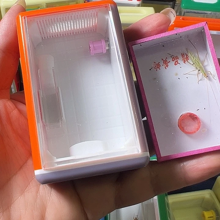 沐***凡蟋蟀哈哈哈哈哈哈哈哈哈