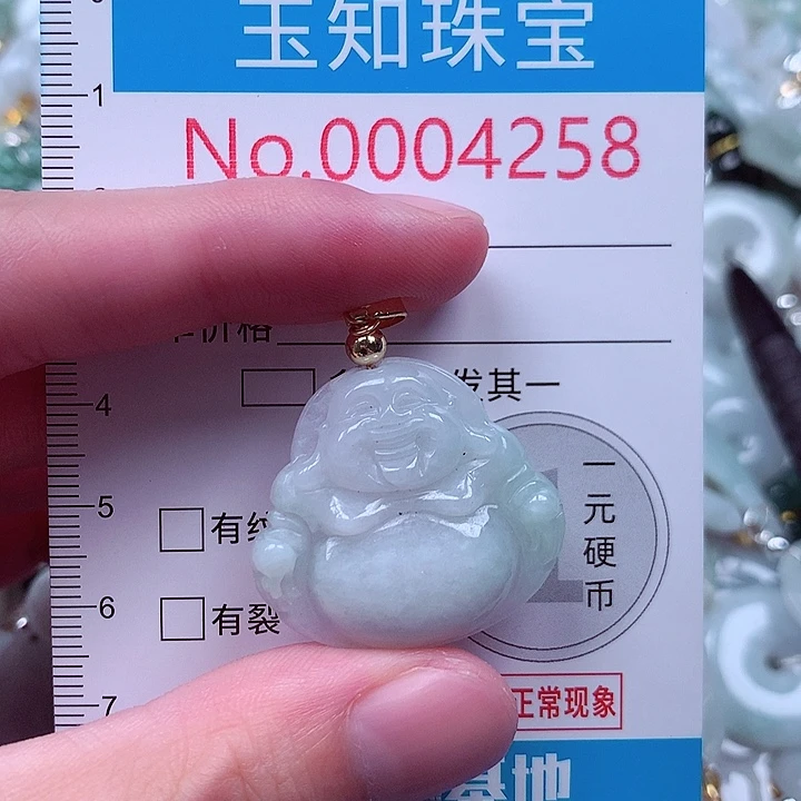 翡翠未镶嵌颈饰4258
