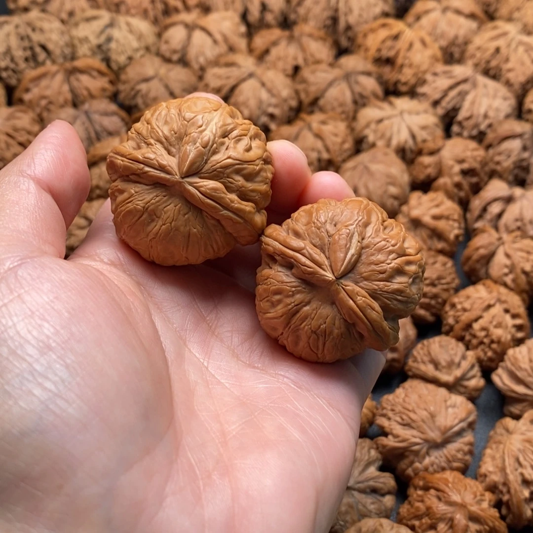 文玩核桃把件40平谷元宝角有黄