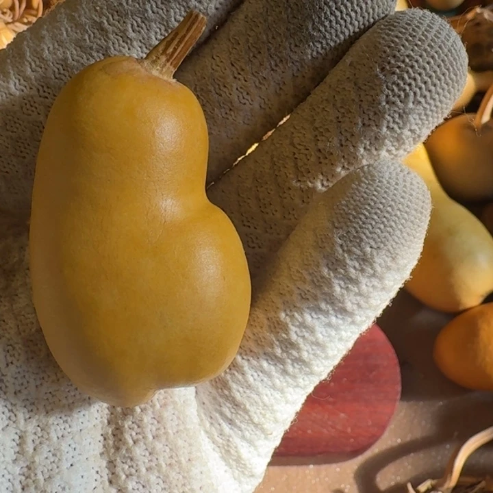 ～****葫芦888888888888