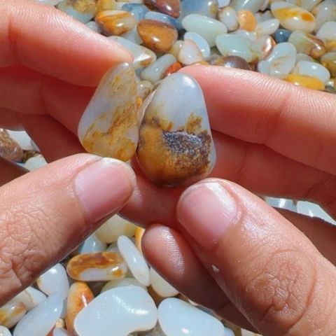 和田玉（糖玉）手链未镶嵌2