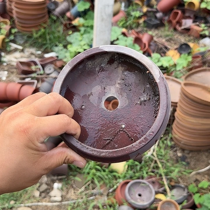 不说你是怎么对我们这些大