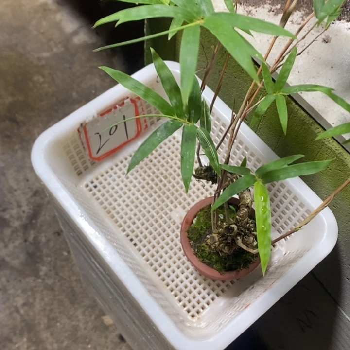 河****司退款拉黑一物一拍201