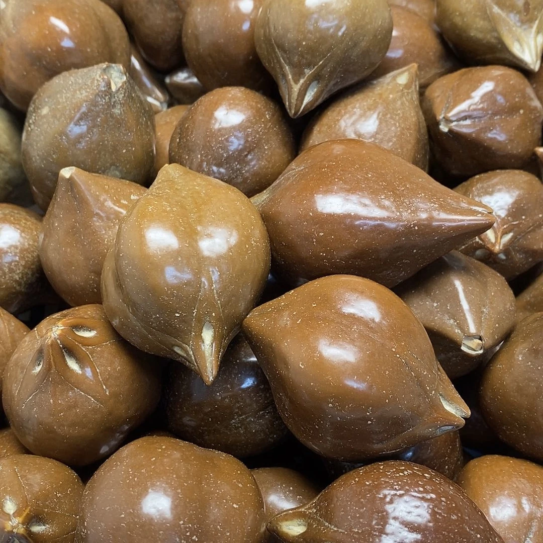 吊坠橄榄核4花橄榄异形6颗