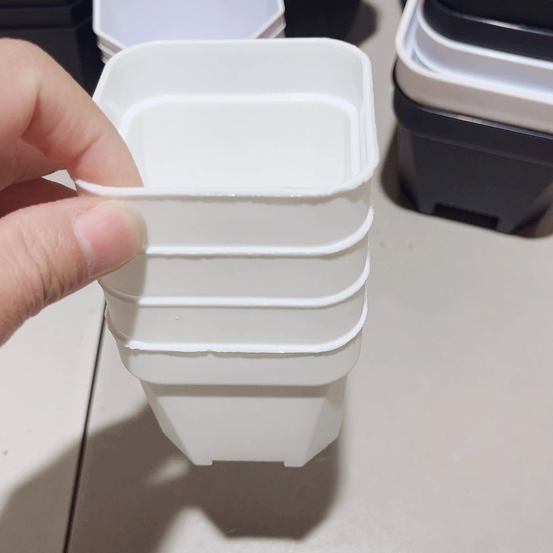 中厚口8高7白盆20个无托