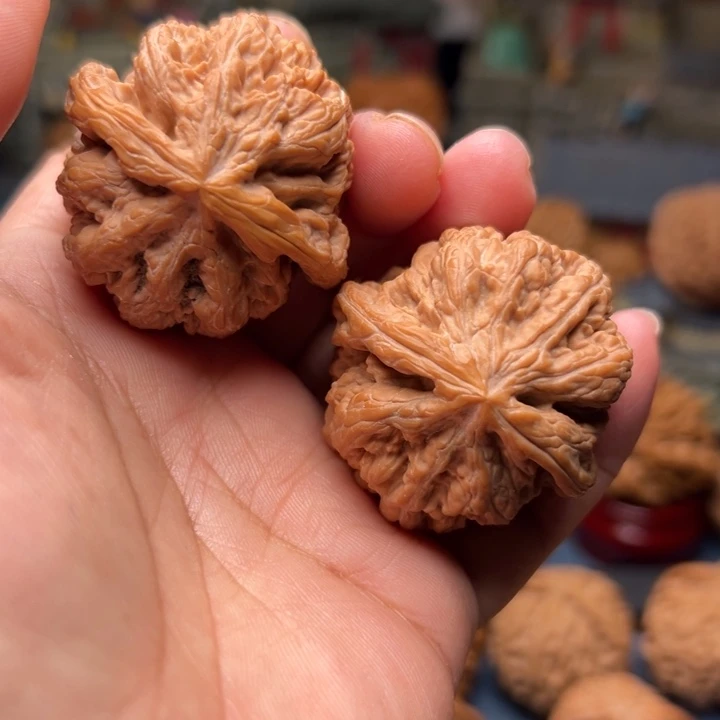 核桃41大粗筋大粗筋大粗筋