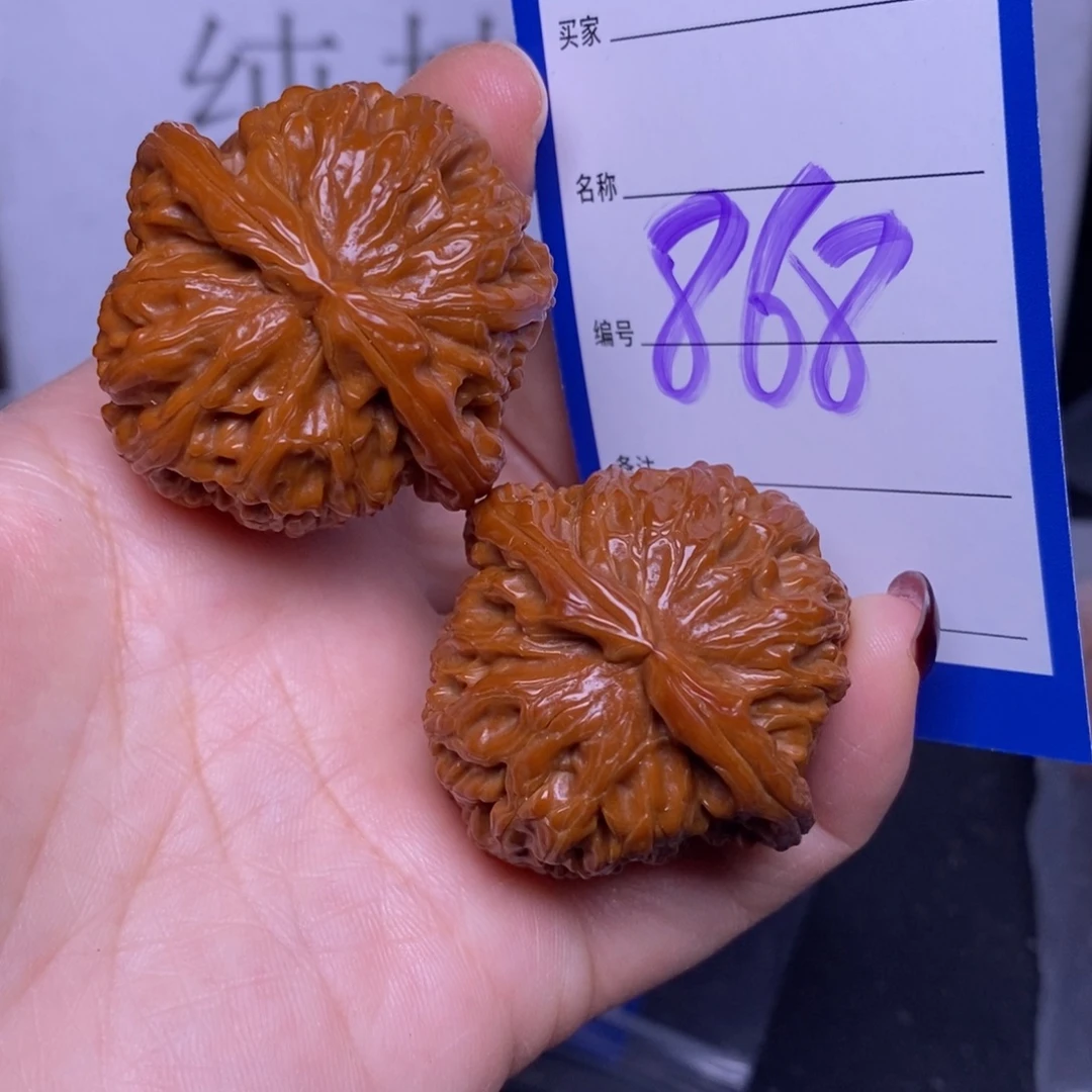 把件文玩核桃868/41白狮子