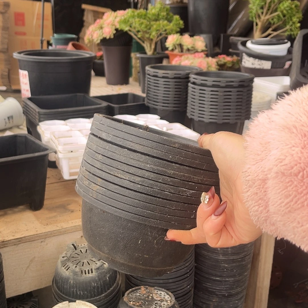 旧口径16高7韩盆20个