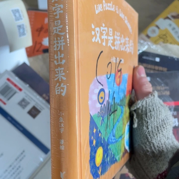 汉字是拼出来的精装塑封