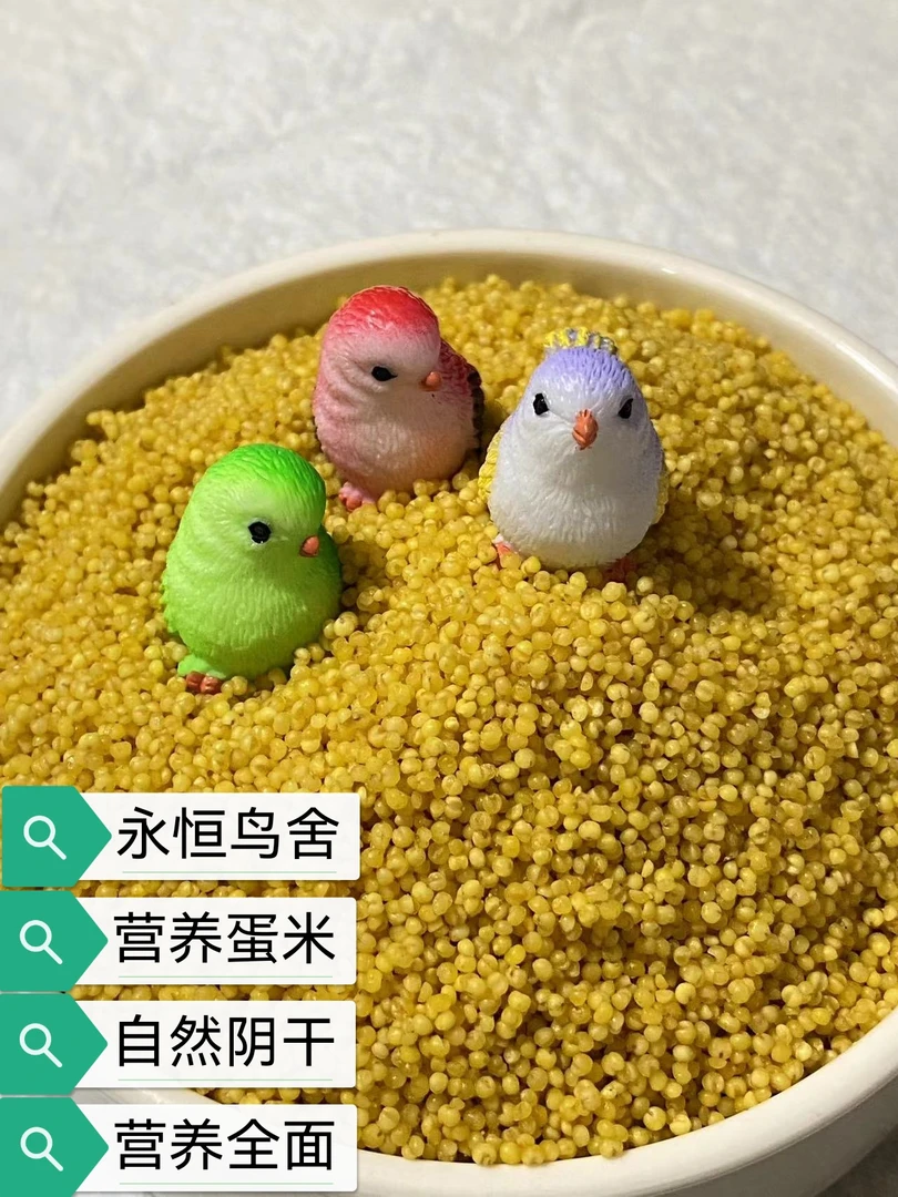 营养蛋米—永恒鸟舍