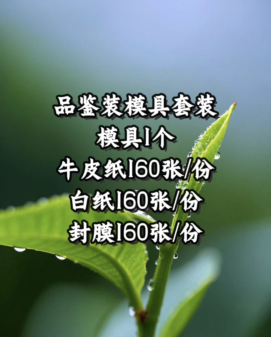 10克纸包茶辅助工具套装