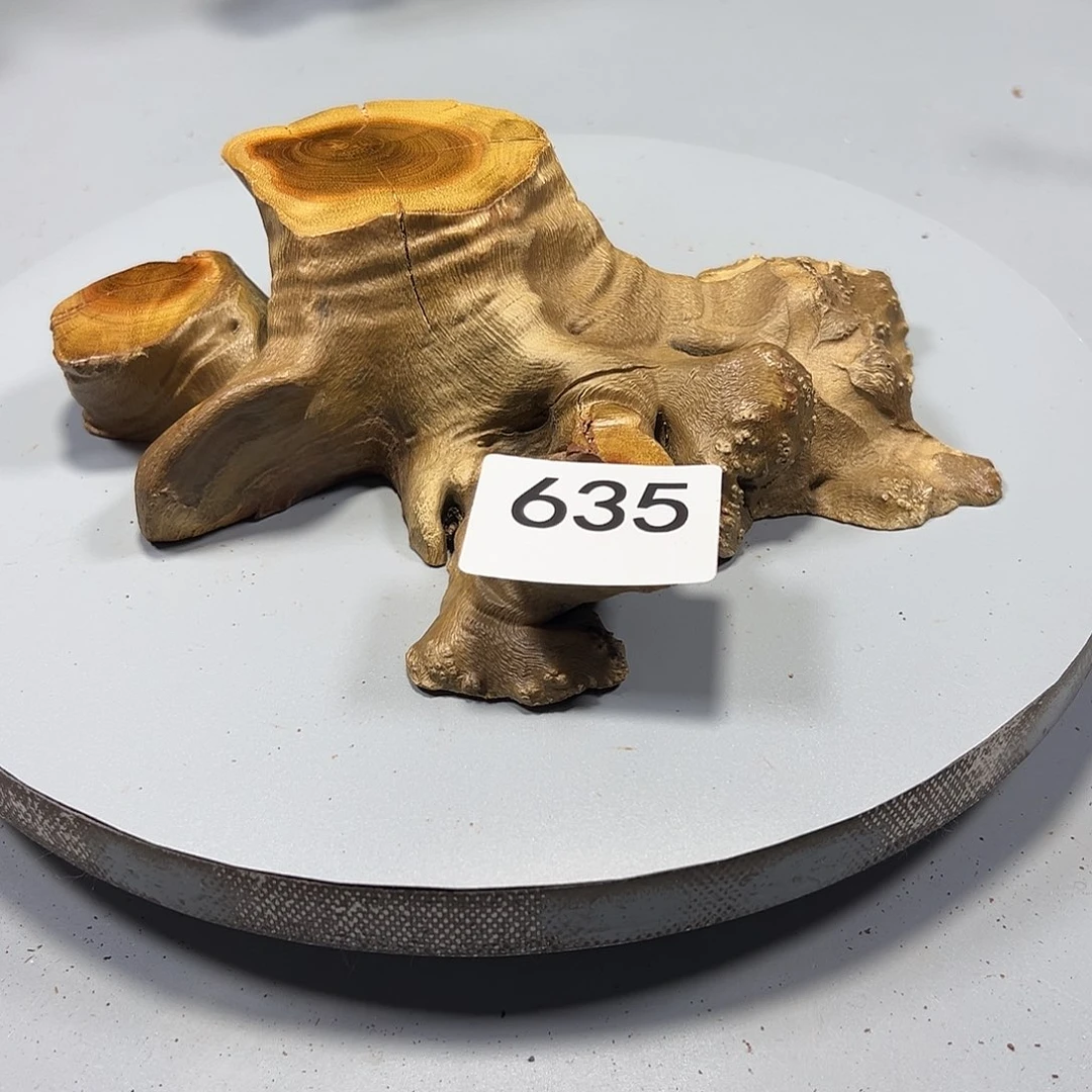 大果紫檀（缅甸花梨）老***哈