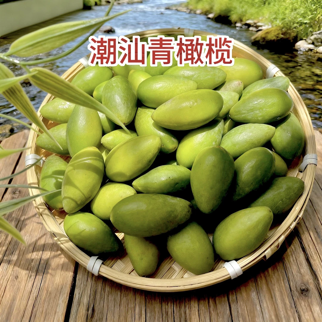 潮汕青枣脆橄榄 马蹄橄榄 生吃酥脆 不甜 新鲜现摘一斤装起包邮