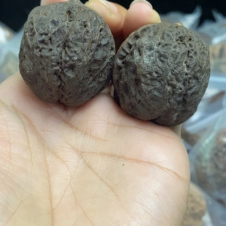 木质类云南铁核桃基地16