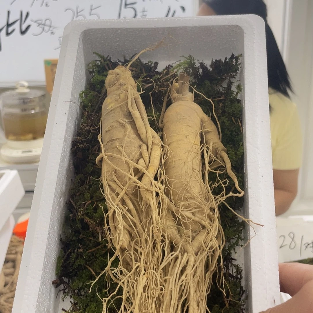 中国大陆长白山新鲜220